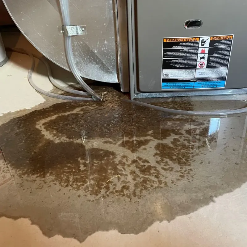 Pipe Burst and Leak Restoration in Dodgeville, WI